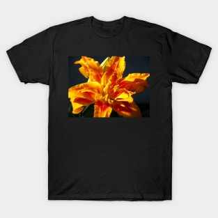 Lily Orange Flower Art on black background: Beautiful Home Decor, Phones, Face masks & Gifts T-Shirt